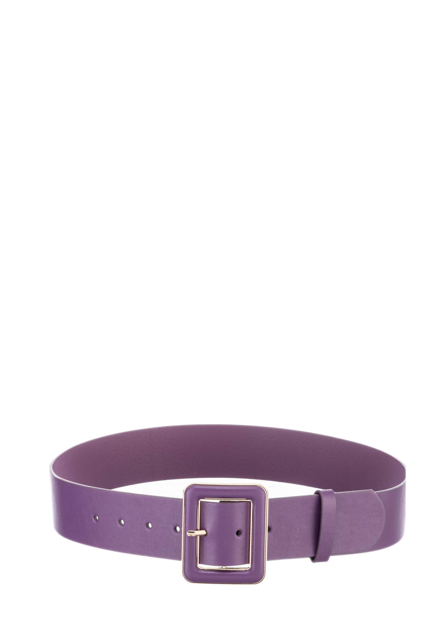AM- CT810 Belt