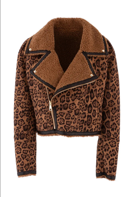 AM- GA120 Veste