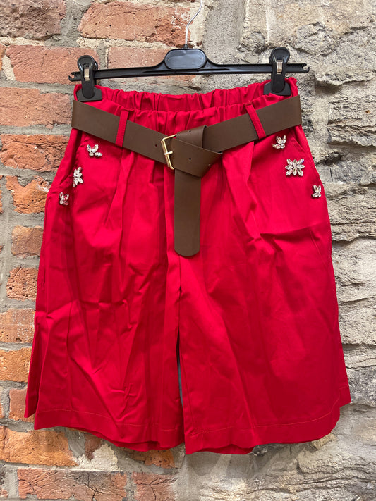 BR- 7347-G4 Shorts