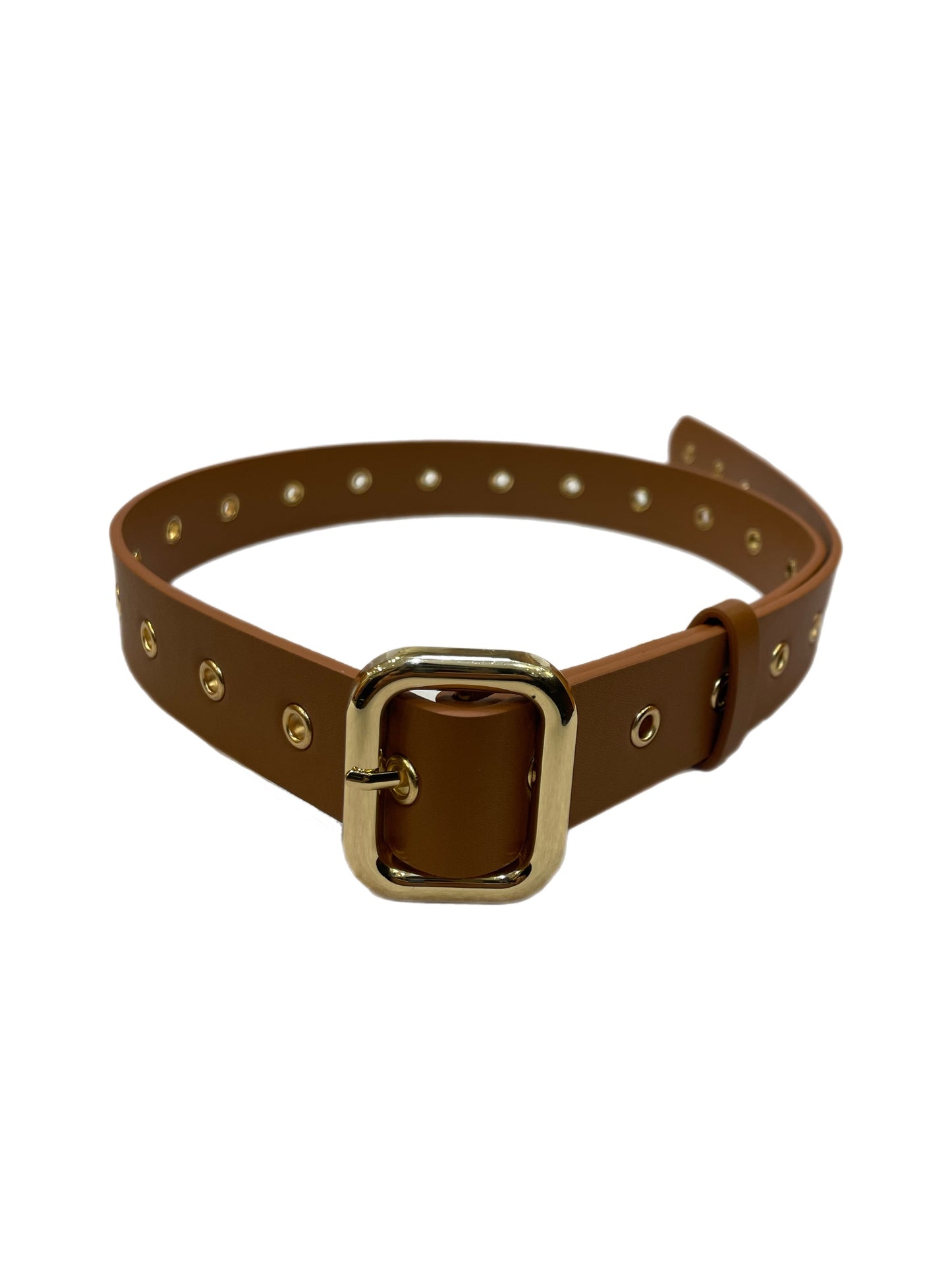 AM- 2501 Ceinture