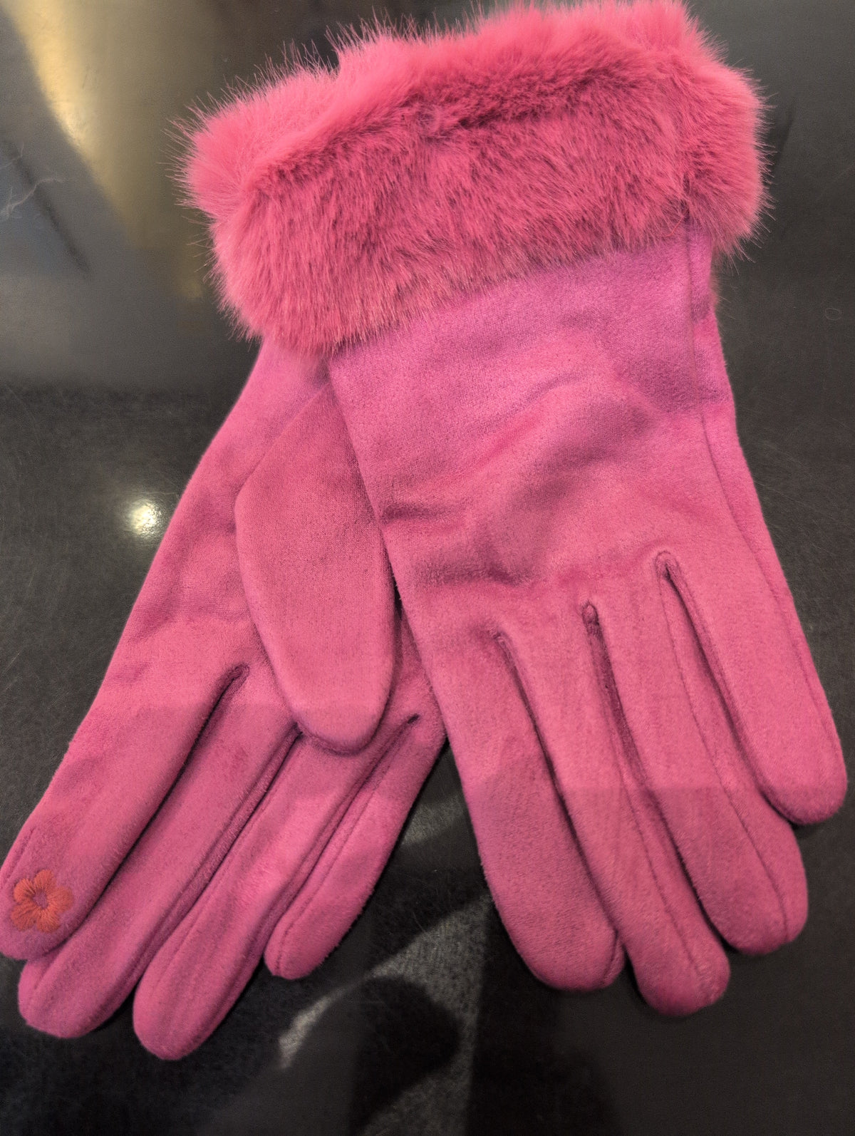 GR-FS80 Gants
