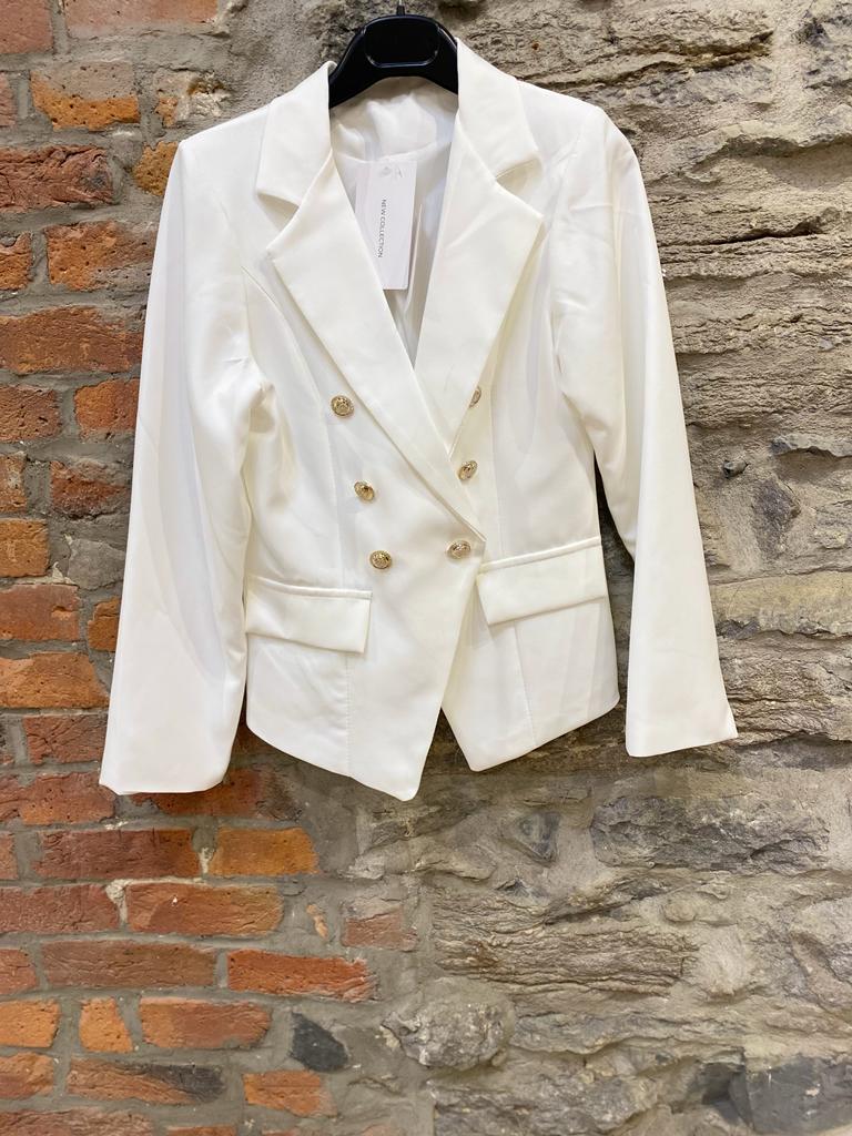 LS- 21911 Blazer
